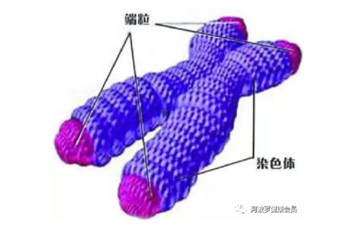图片9.png 图片9.png